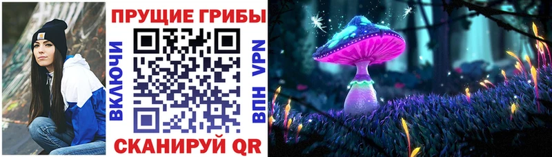Галлюциногенные грибы прущие грибы  купить   Томмот 